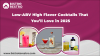Low-ABV High Flavor Cocktails That You’ll Love in 2025