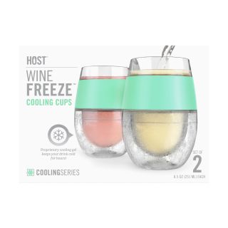 Wine FREEZE™ in Mint (set of 2) by HOST®